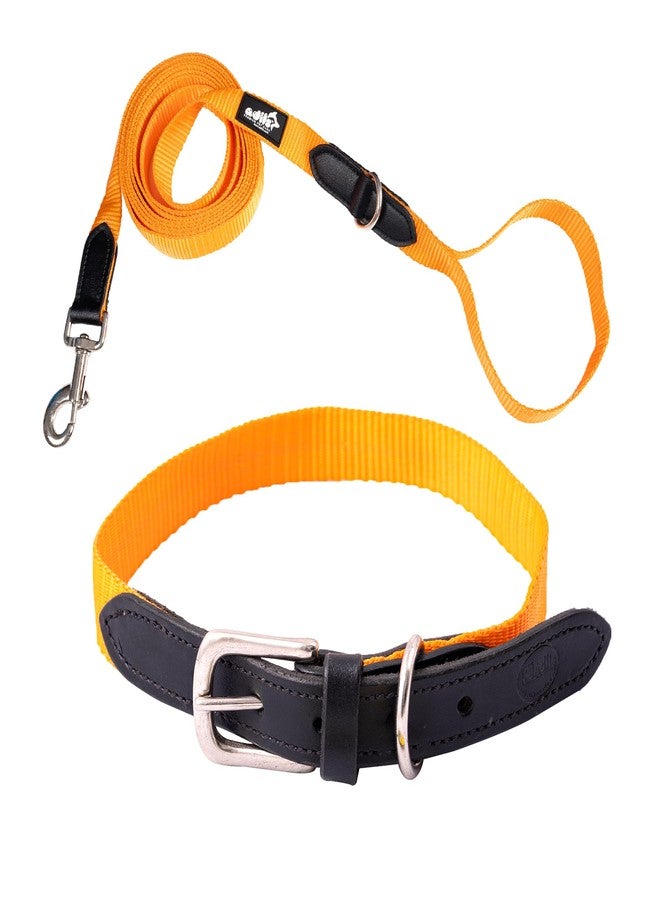 ADIL'S Adil’s Adjustable Plain Nylon with Leather Dog Collar & Leash Combo - Reinforced with Metal Buckle, 360° Swivel Hook, D-Ring & 10ft Leash for Small, Medium & Large Dogs (Orange, Large) - Image 1
